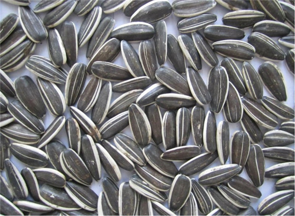 sunflower seeds