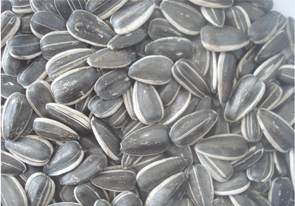 sunflower seeds