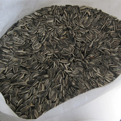 8 葵瓜子包装 sunflower seeds bags.jpg