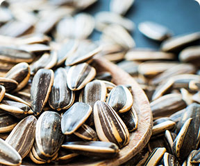 Sunflower seed: good for beauty and sleep