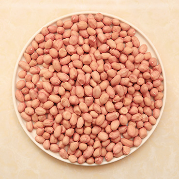 Peanut Kernels(Round Shape)