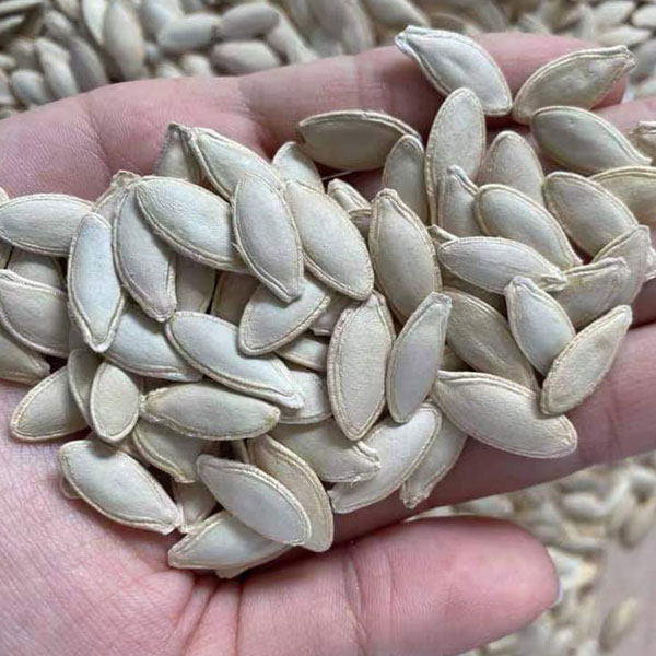 Lady Nail Pumpkin Seeds  